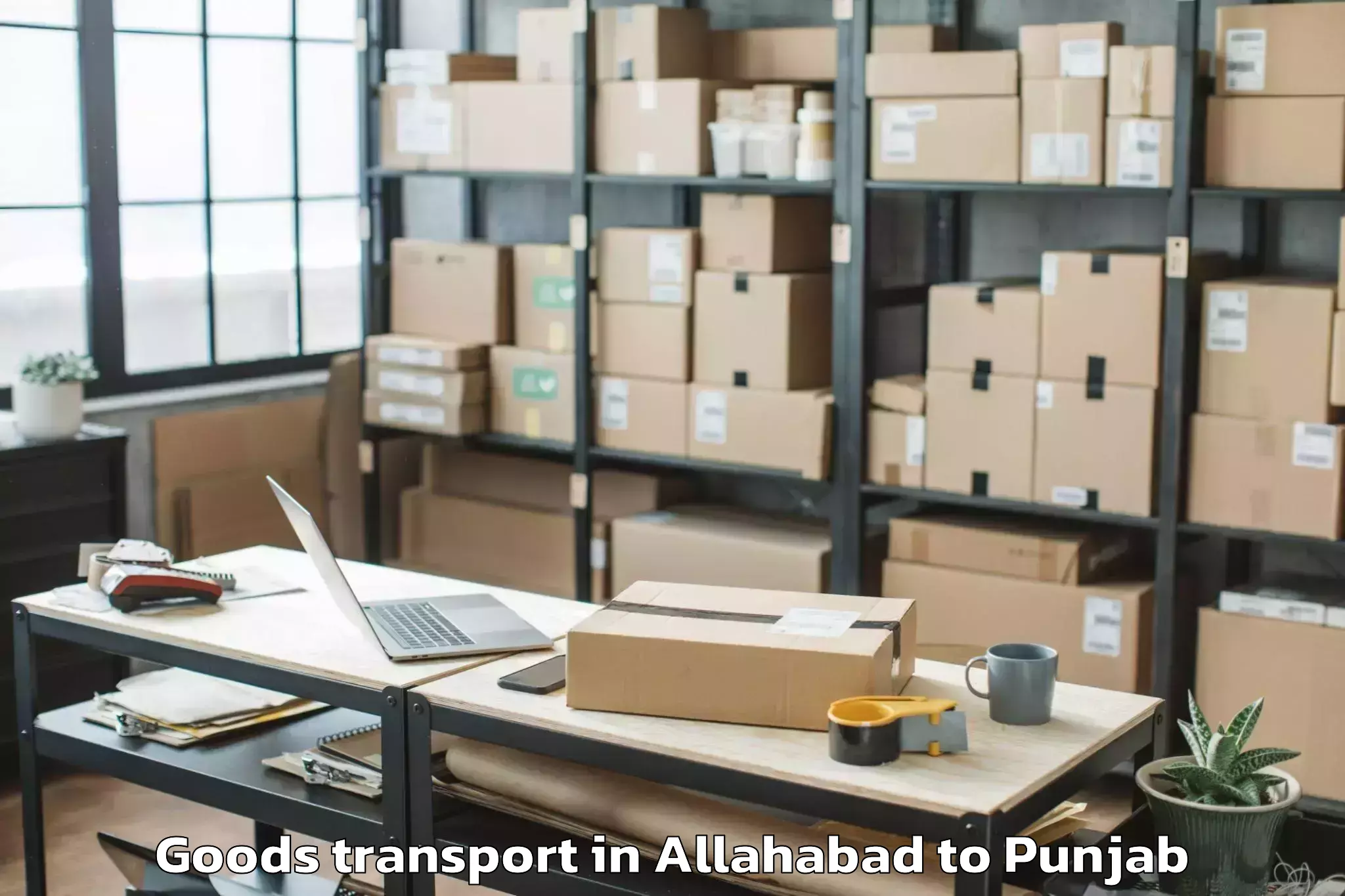 Expert Allahabad to Ferozepore Goods Transport